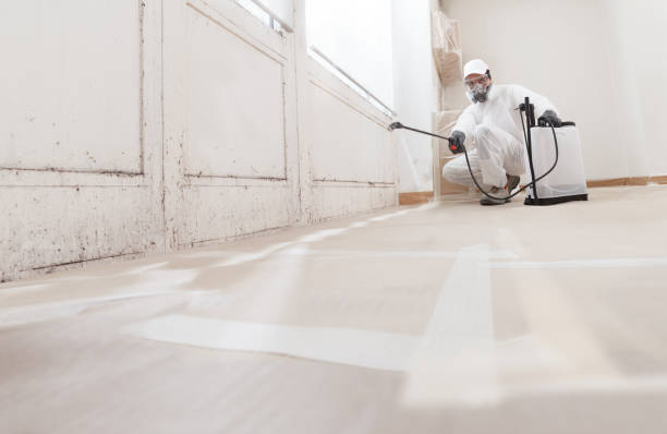 24/7 Emergency Mold Removal experts in Simpson, PA